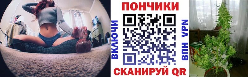 продажа наркотиков  Рошаль  Канабис VHQ 